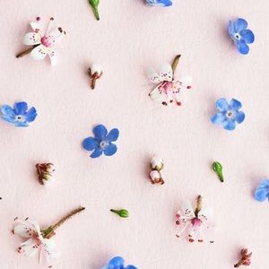 Meet your Posher, Manda